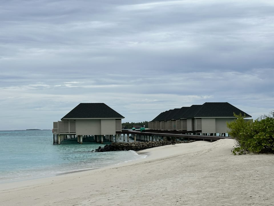 Strand Summer Island Maldives