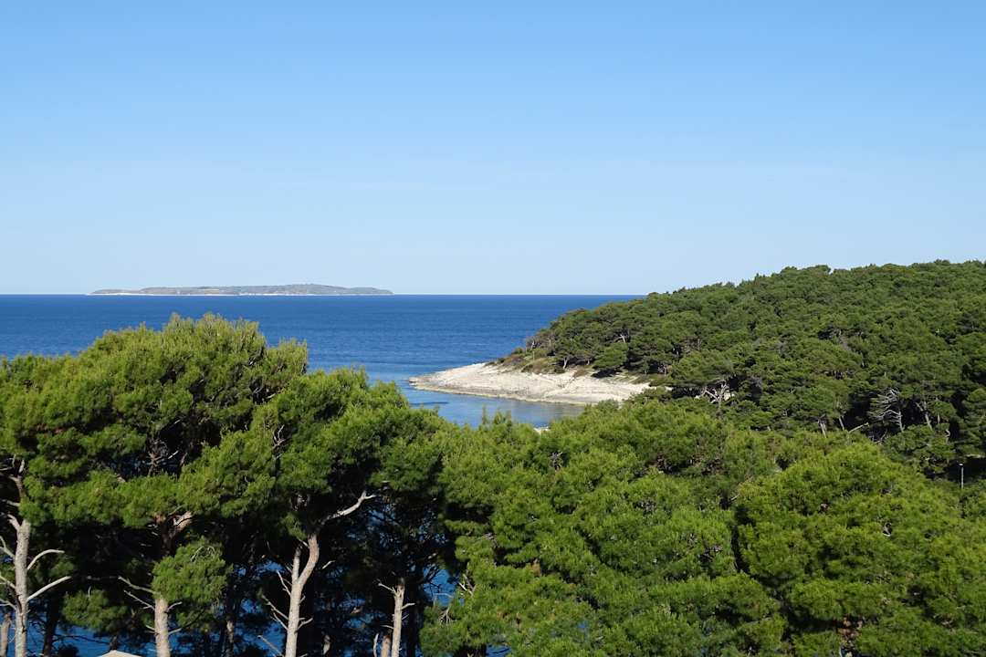 Ausblick Hotel Aurora