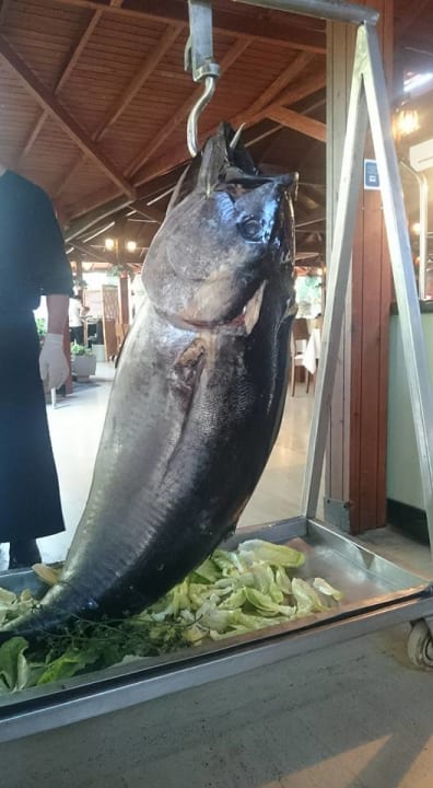 Restaurant Monachus Family Resort Sorgun