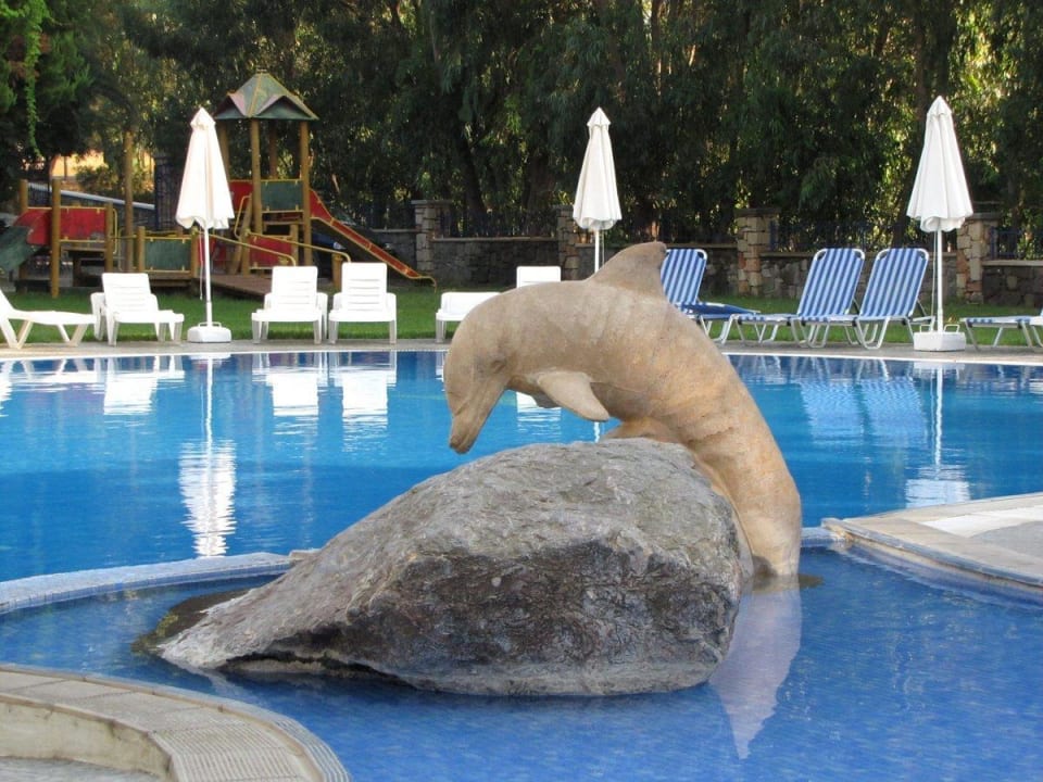 Delphin im Pool Ekaterini Hotel
