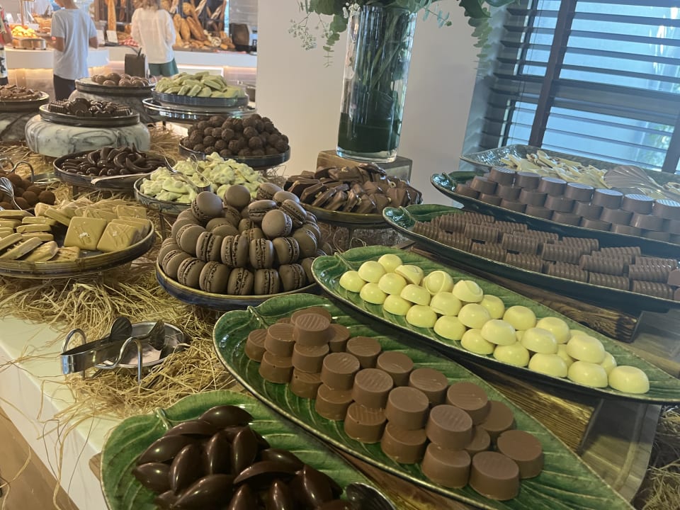 Gastro Lara Barut Collection