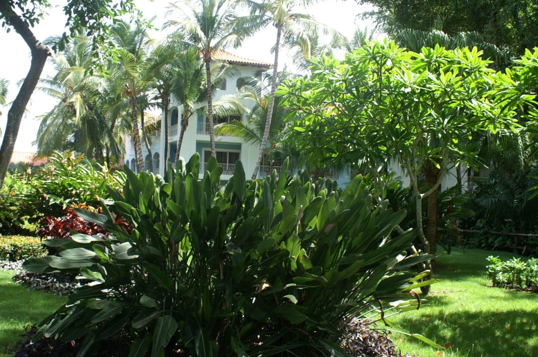Sicht von Garten auf Haus 5 Iberostar Selection Hacienda Dominicus