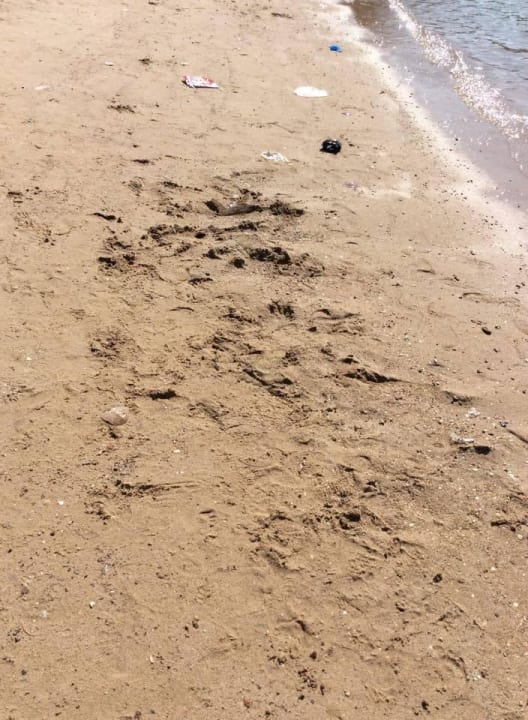 Nichts wurde aufgeräumt Sunny Days Palma De Mirette Resort & Spa