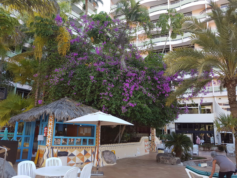 Außenansicht Abora Buenaventura by Lopesan Hotels