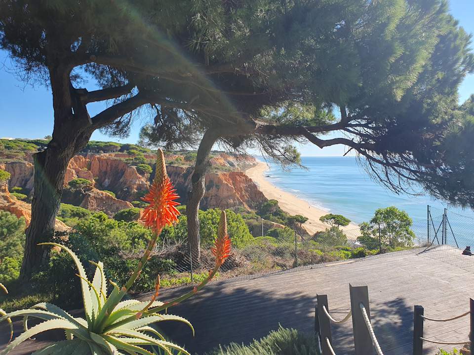 Ausblick PortoBay Falésia