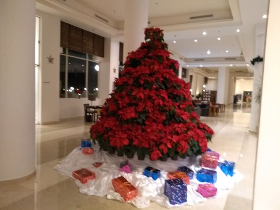 Lobby Cleopatra Luxury Resort Makadi Bay