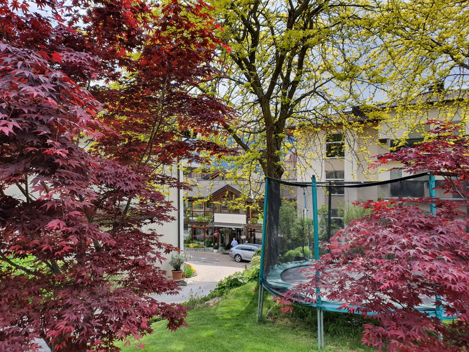 Gartenanlage Baumgartner's Blumenhotel