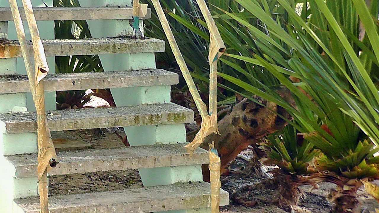 Das Geländer zur Restaurantterrasse Hotel Los Pinos