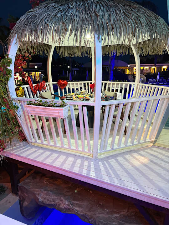 Gastro Adalya Elite Lara