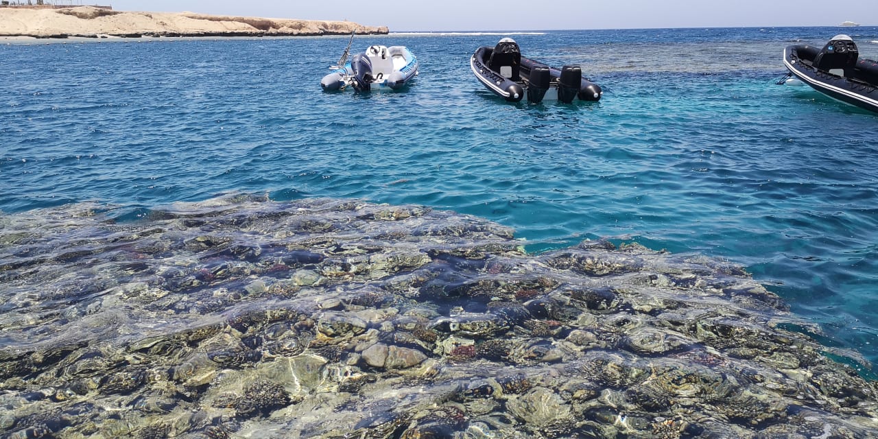 Sport & Freizeit Jaz Grand Marsa