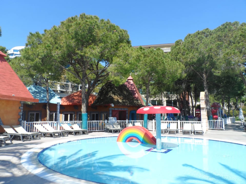 Basen dla maluszków Papillon Ayscha