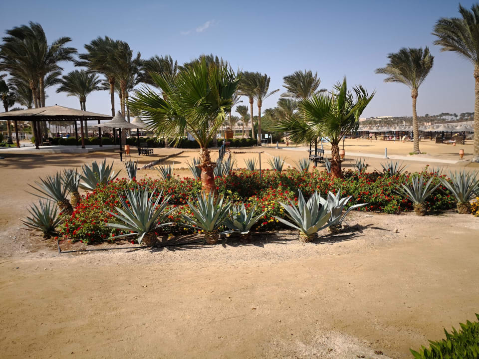 Strand Jaz Dar EL Madina