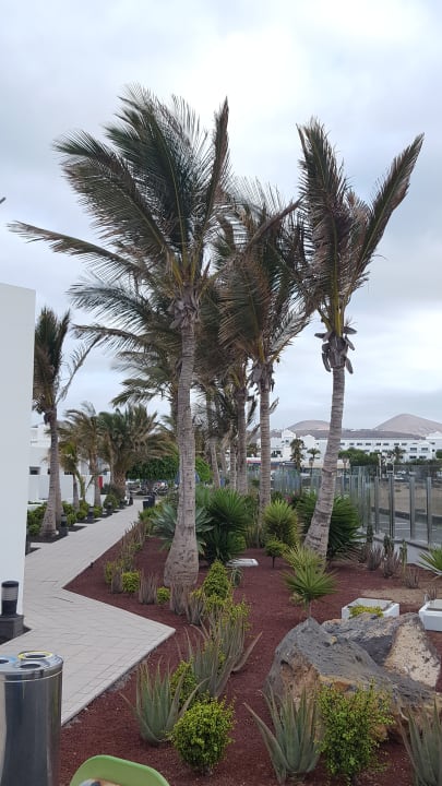 Außenansicht Hotel Las Costas