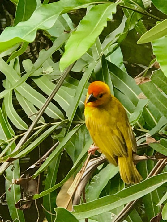 Außenansicht Bahari Beach Hotel