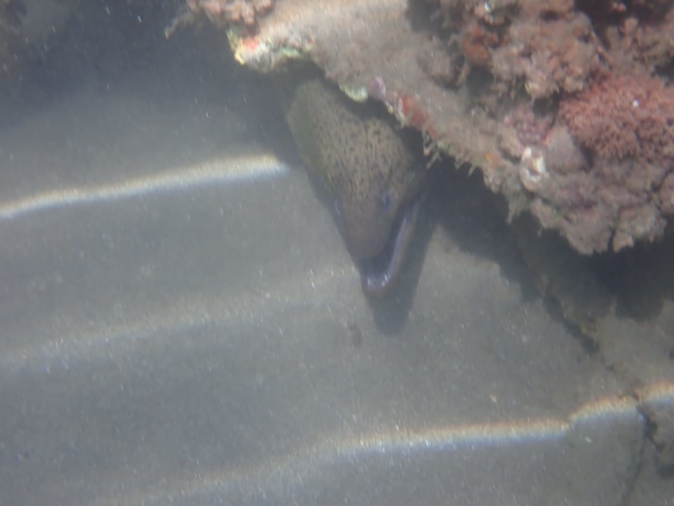 Sport & Freizeit Three Corners Equinox Beach Resort