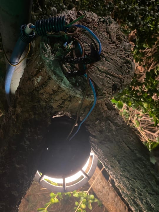 Gartenanlage Selectum Family Comfort Side