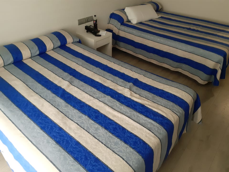 Zimmer Hotel Best Oasis Park