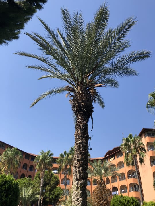 Außenansicht Club Turtas Beach Hotel