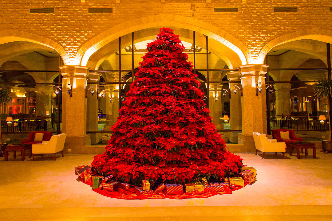 Lobby Hotel Kempinski Soma Bay