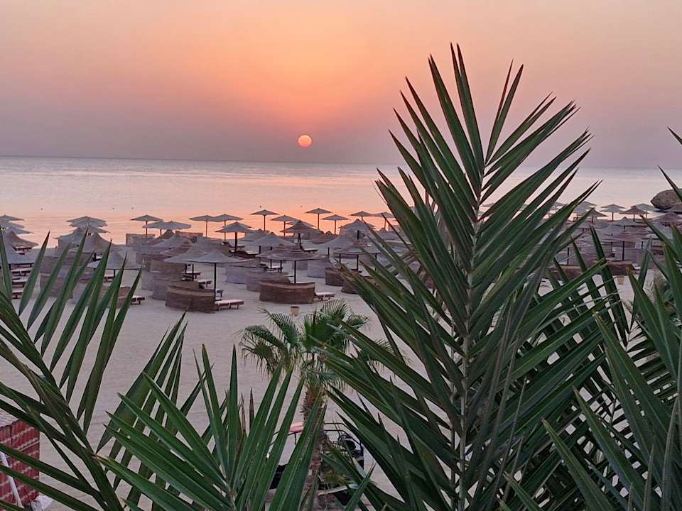 Ausblick Three Corners Fayrouz Plaza Beach Resort