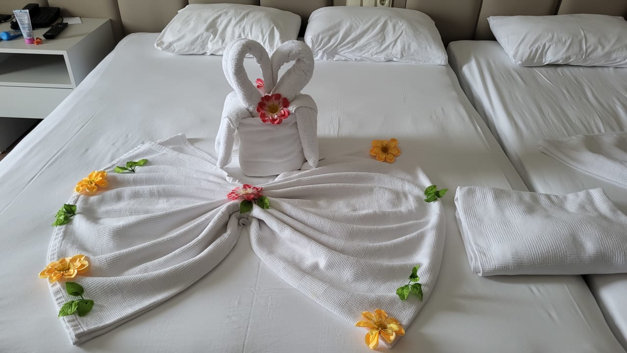 Zimmer Dream Water World