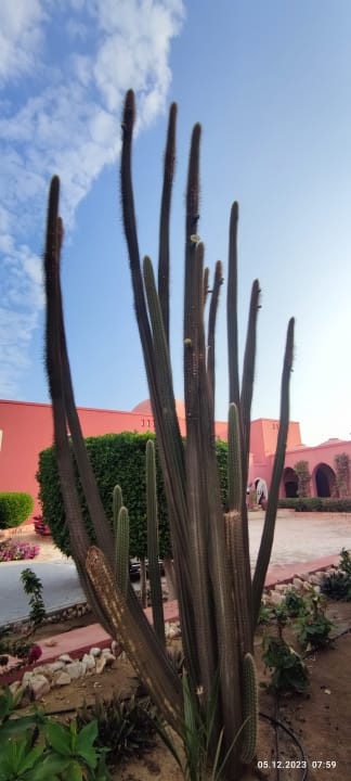 Gartenanlage Radisson Blu Resort, El Quseir