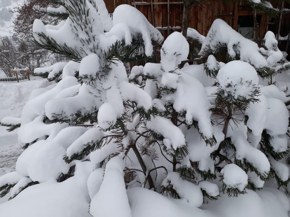 Gartenanlage Familienresort Ellmauhof – das echte All Inclusive