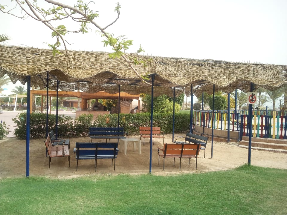 Sonstiges Desert Rose