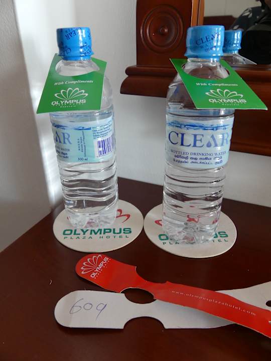 Zimmer Olympus Plaza Hotel