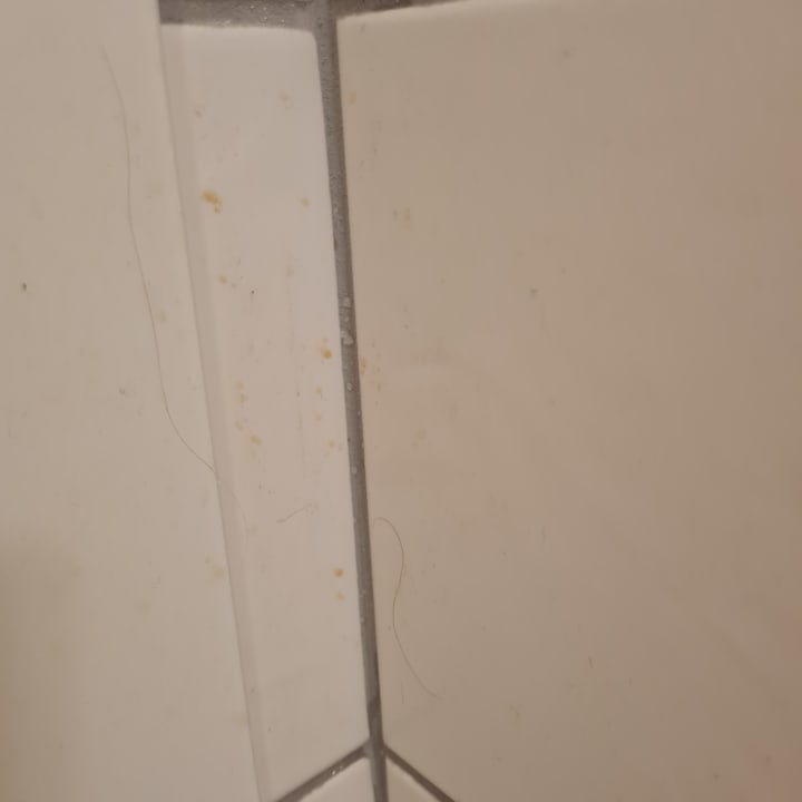 Zimmer Bitez Garden Life