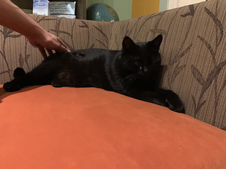 Sonstiges Spirit & SPA Hotel Birkenhof am Elfenhain