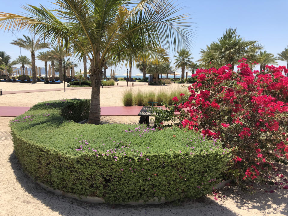 Gartenanlage The Ritz-Carlton, Dubai