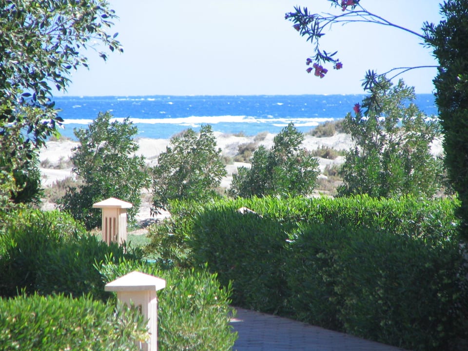Gezoomter Meerblick von unserer Terrasse aus Lahami Bay Beach Resort