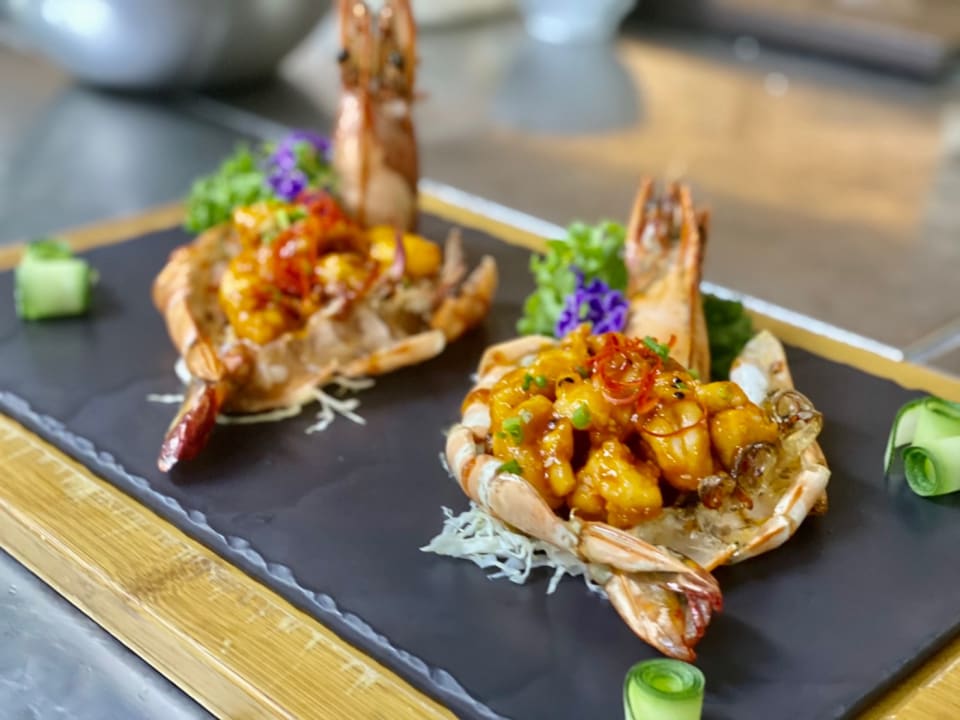 Gastro Amatara Welleisure Resort