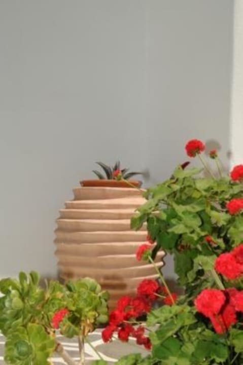 Garden Hotel Acrogiali