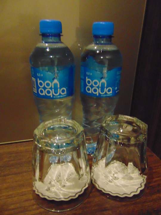 Zimmer Mercure Almaty City Center