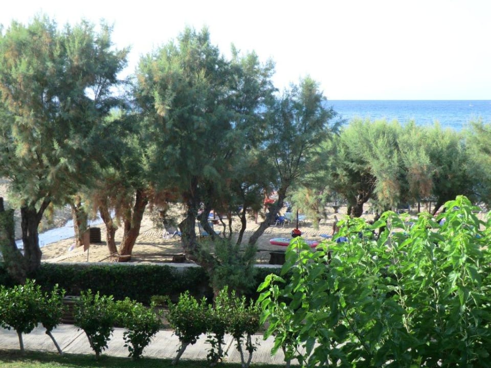 Strandblick Phãea Cretan Malia