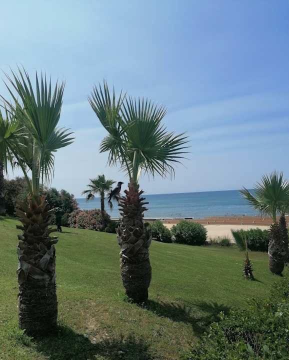 Strand allsun Numa Club Side