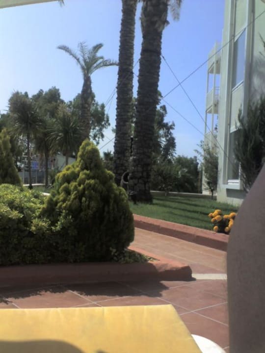 Poolbereich PALOMA Perissia