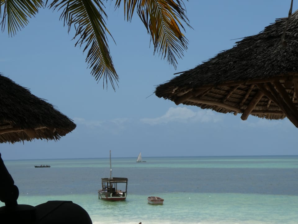 Strand Jaz Adonia Beach Resort