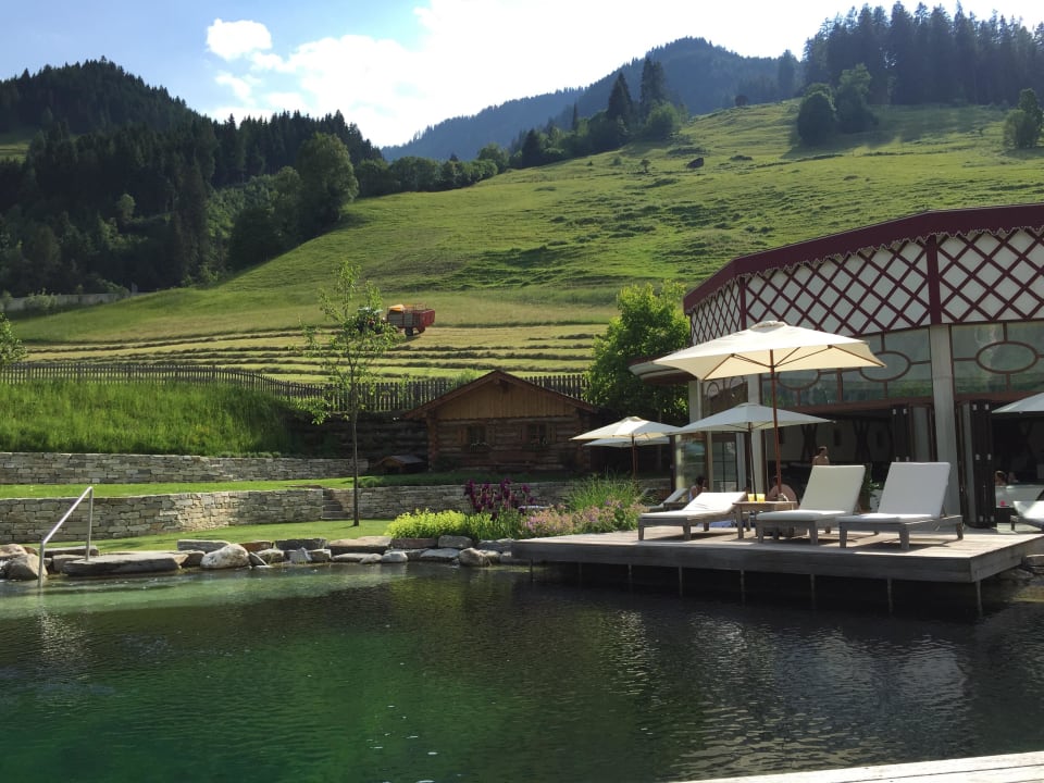 Schwimmteich Familien Natur Resort Moar Gut