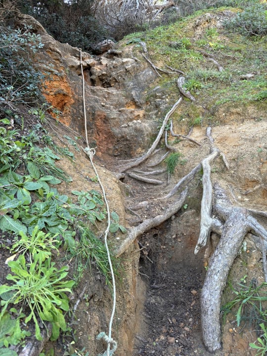 Gartenanlage Hotel Epic Sana Algarve