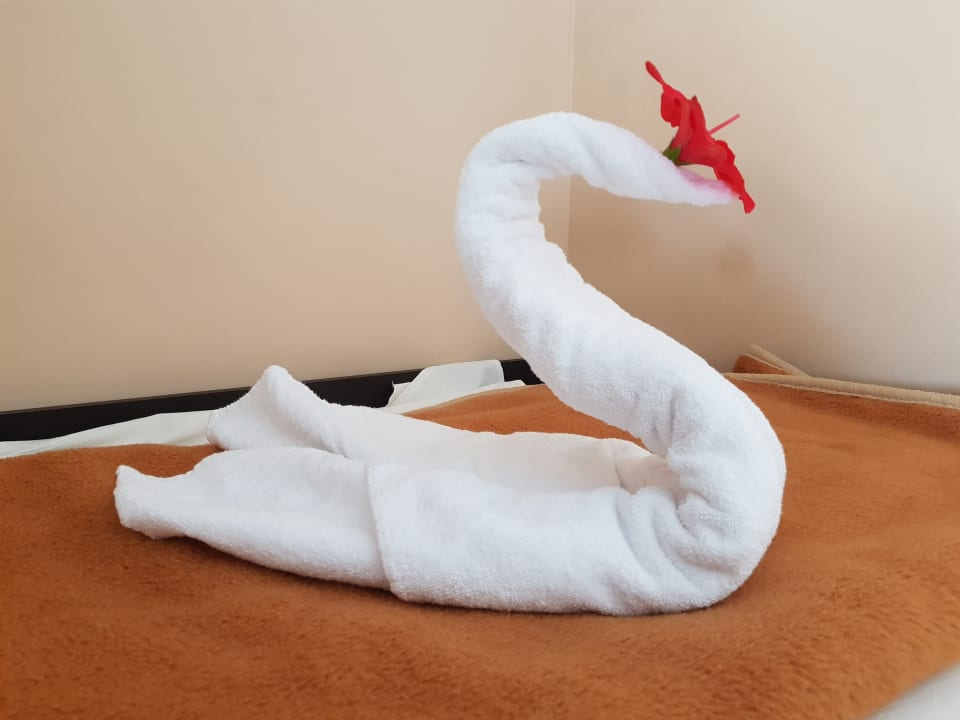 Zimmer Hotel Fiesta Beach Djerba