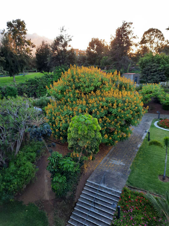 Gartenanlage TRH Taoro Garden