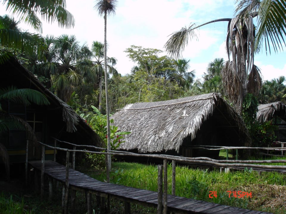 Hotel Orinoco Delta Lodge Hotel Orinoco Delta Lodge