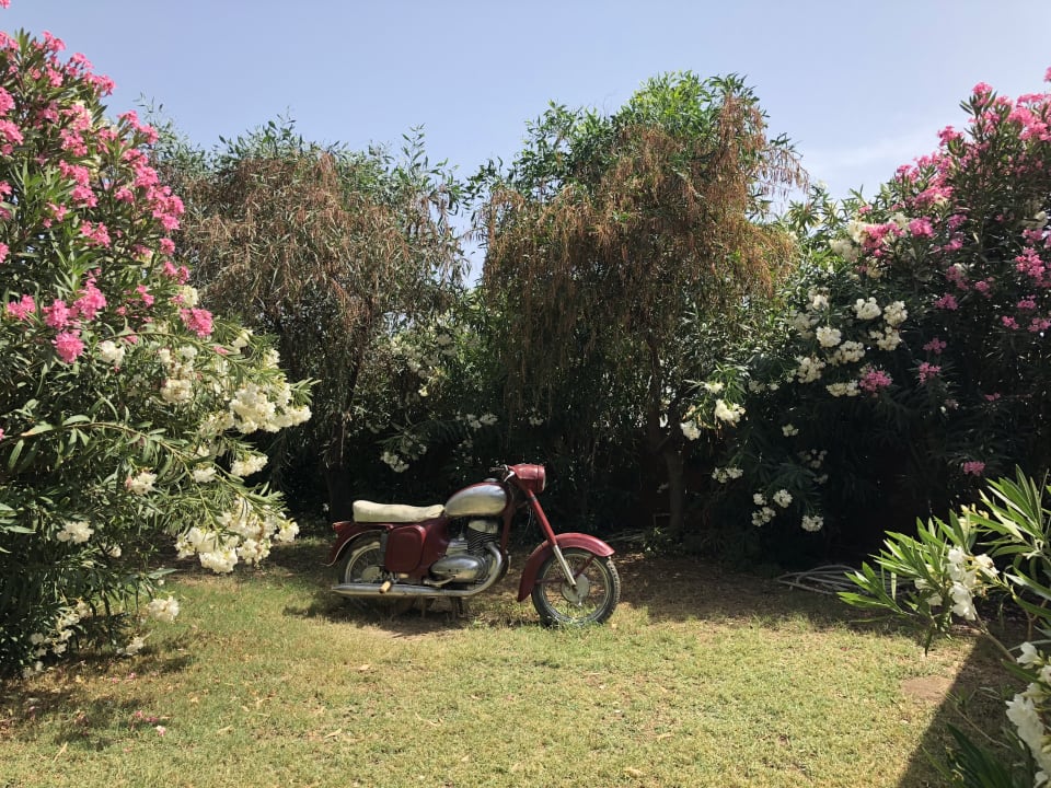 Gartenanlage Club Turtas Beach Hotel