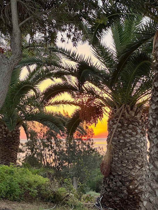 Gartenanlage Rodos Princess Beach Hotel & Spa