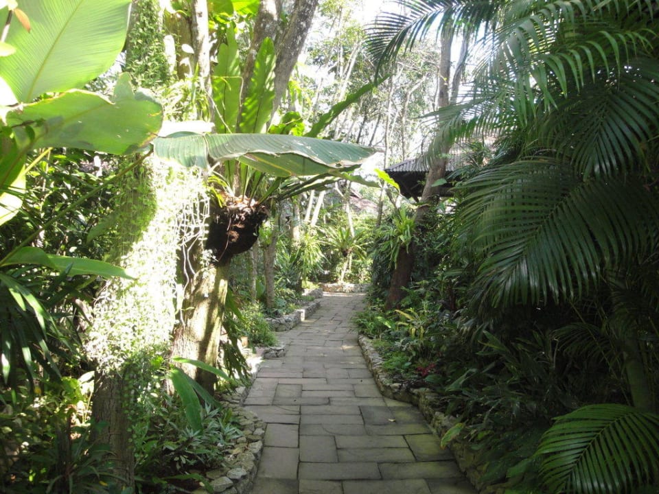 Weg durch die Anlage Baan Klang Aow Beach Resort