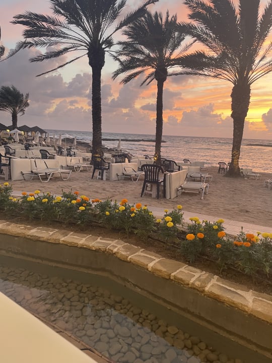 Strand TUI BLUE Pioneer Beach