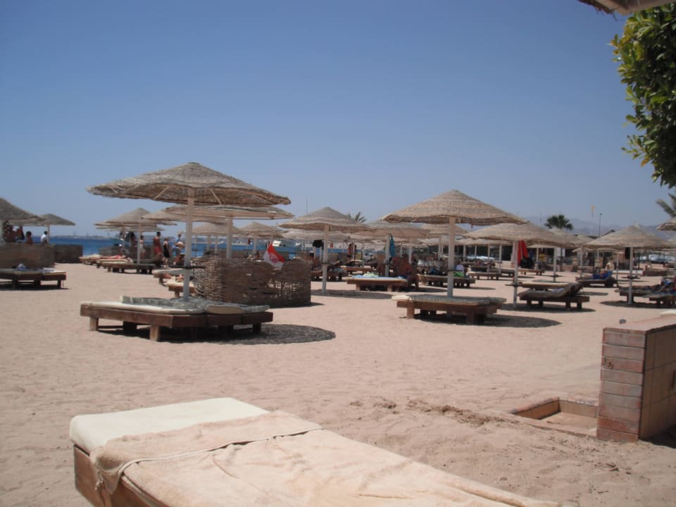 Strand Eagles Paradise Abu Soma